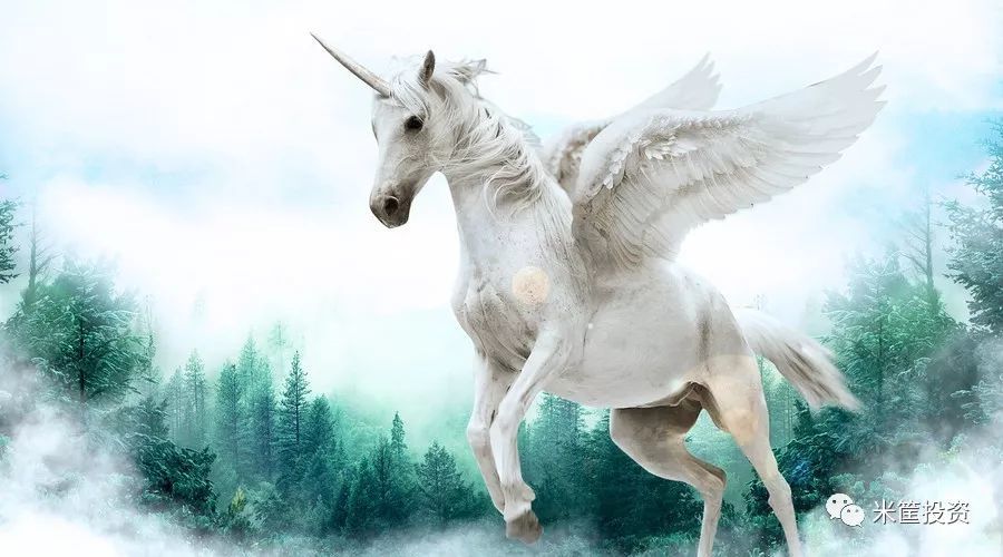 收藏!2017中国独角兽全名单!最大赢家却是它! - 米筐投资